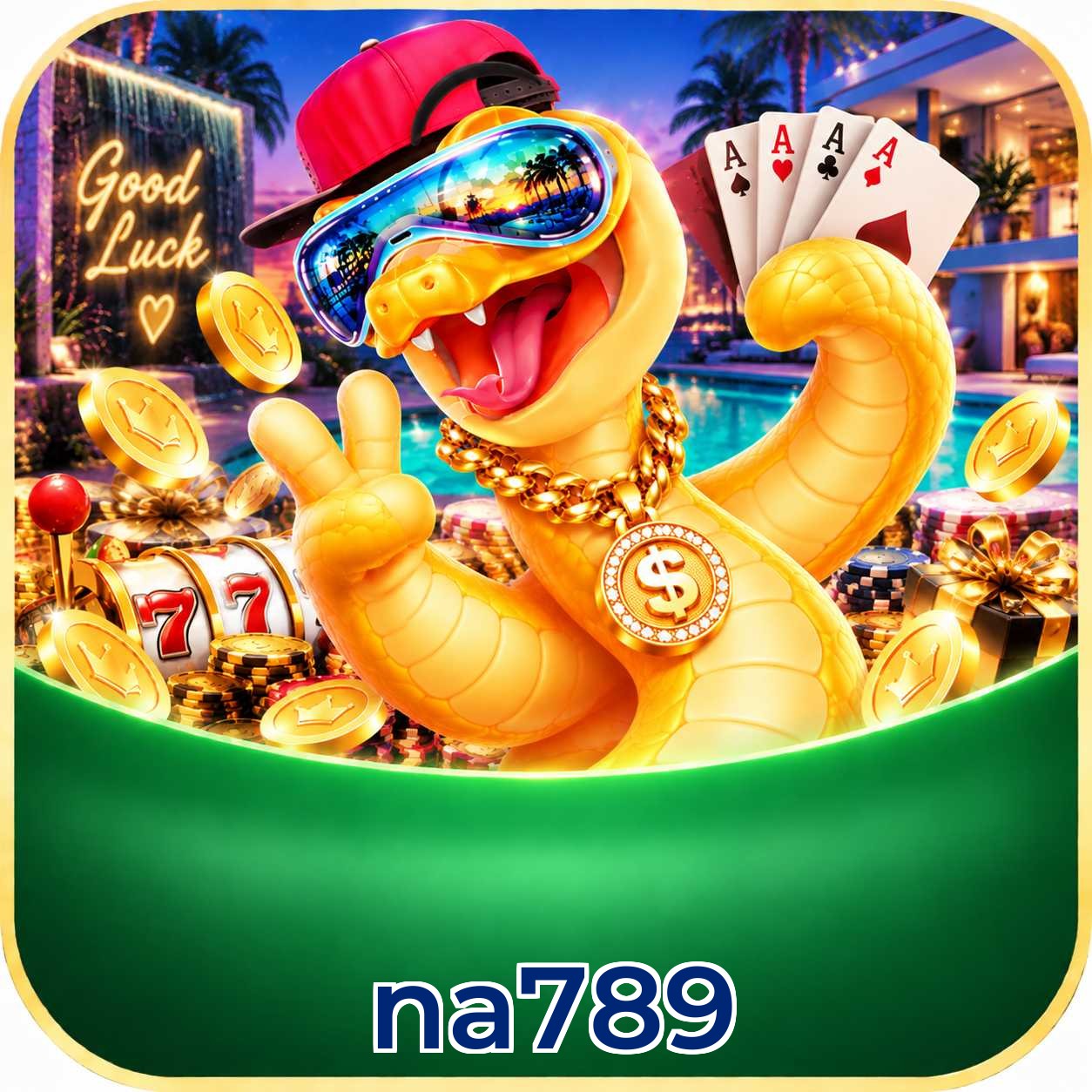 na789 FAQ