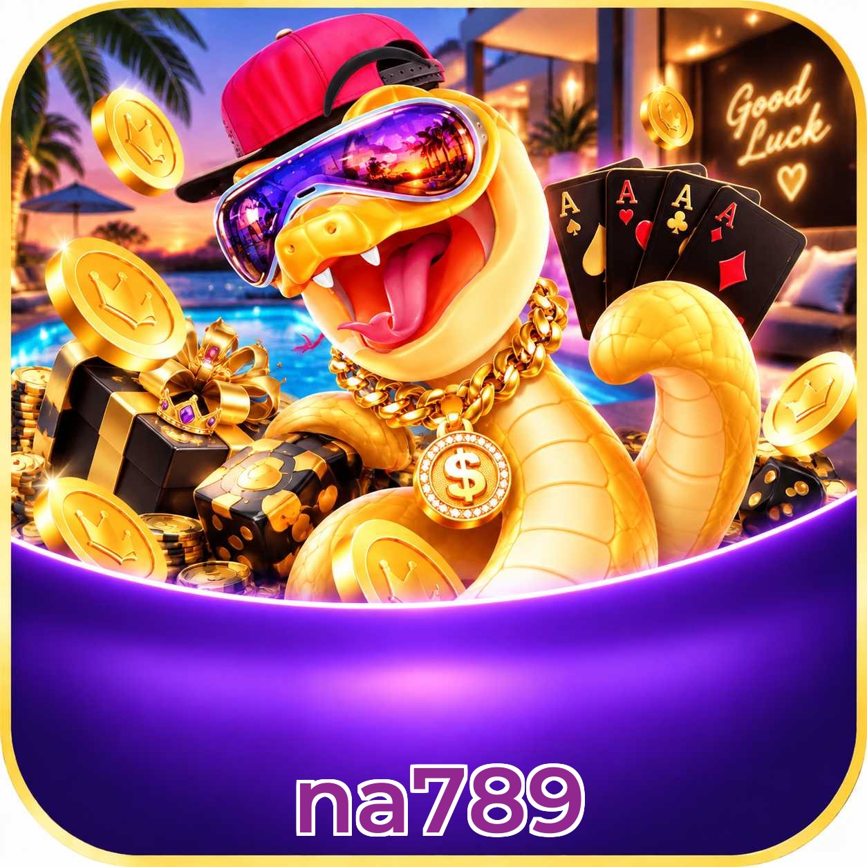 na789 FAQ